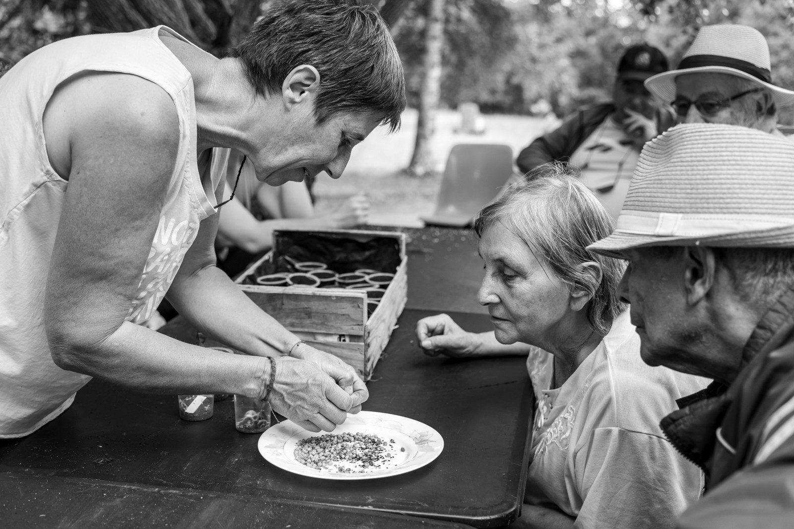 Le Noyer, village champsaurin
