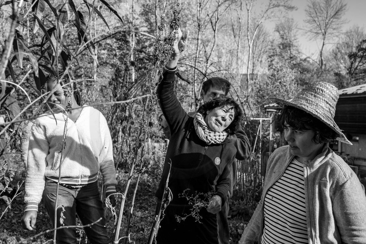 26 octobre 2022 : dernier mercredi de la saison à l'Ouort 26 octobre 2022 : dernier mercredi de la saison à l'Ouort