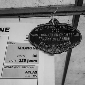 Rencontres paysannes à Saint-Bonnet en Champsaur