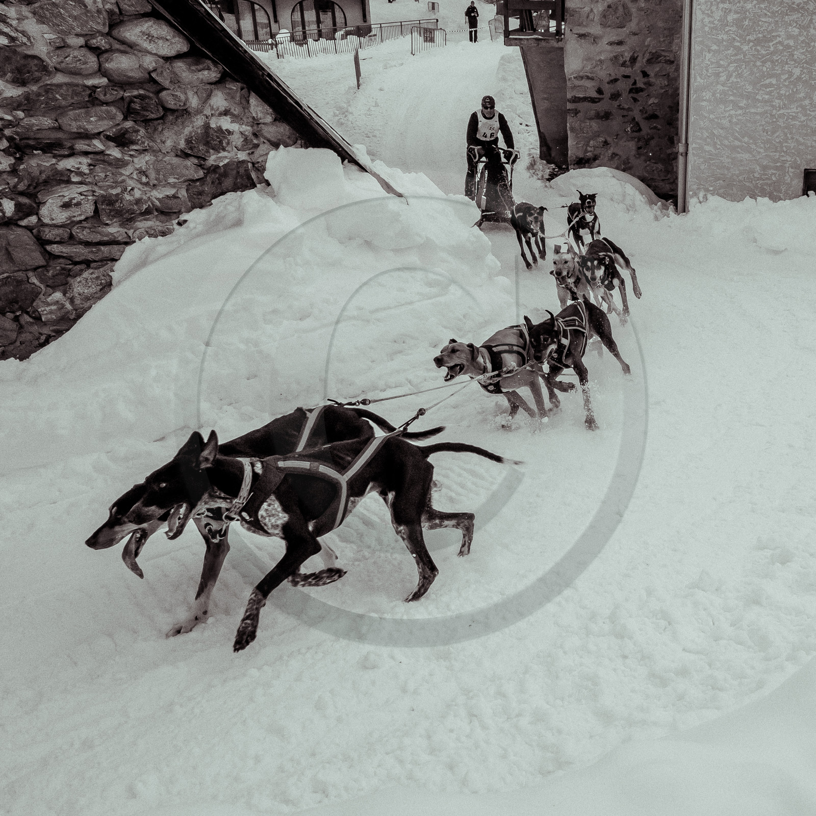 La Valgaude Traineau 2015