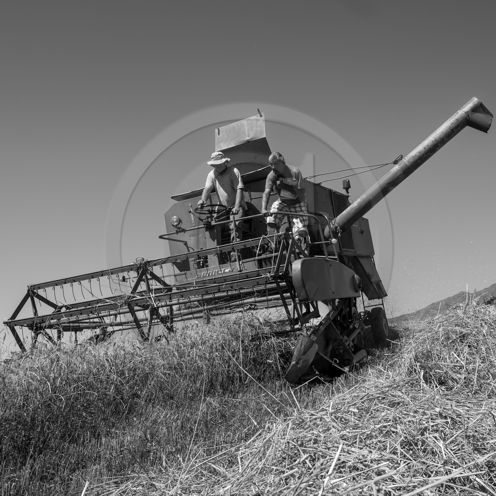 Les moissons dans le Champsaur