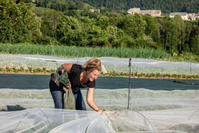 Légumontagne : maraichage biologique à Ancelle