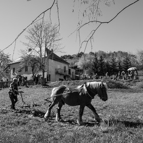 Labour avec un cheval - 17 04 17