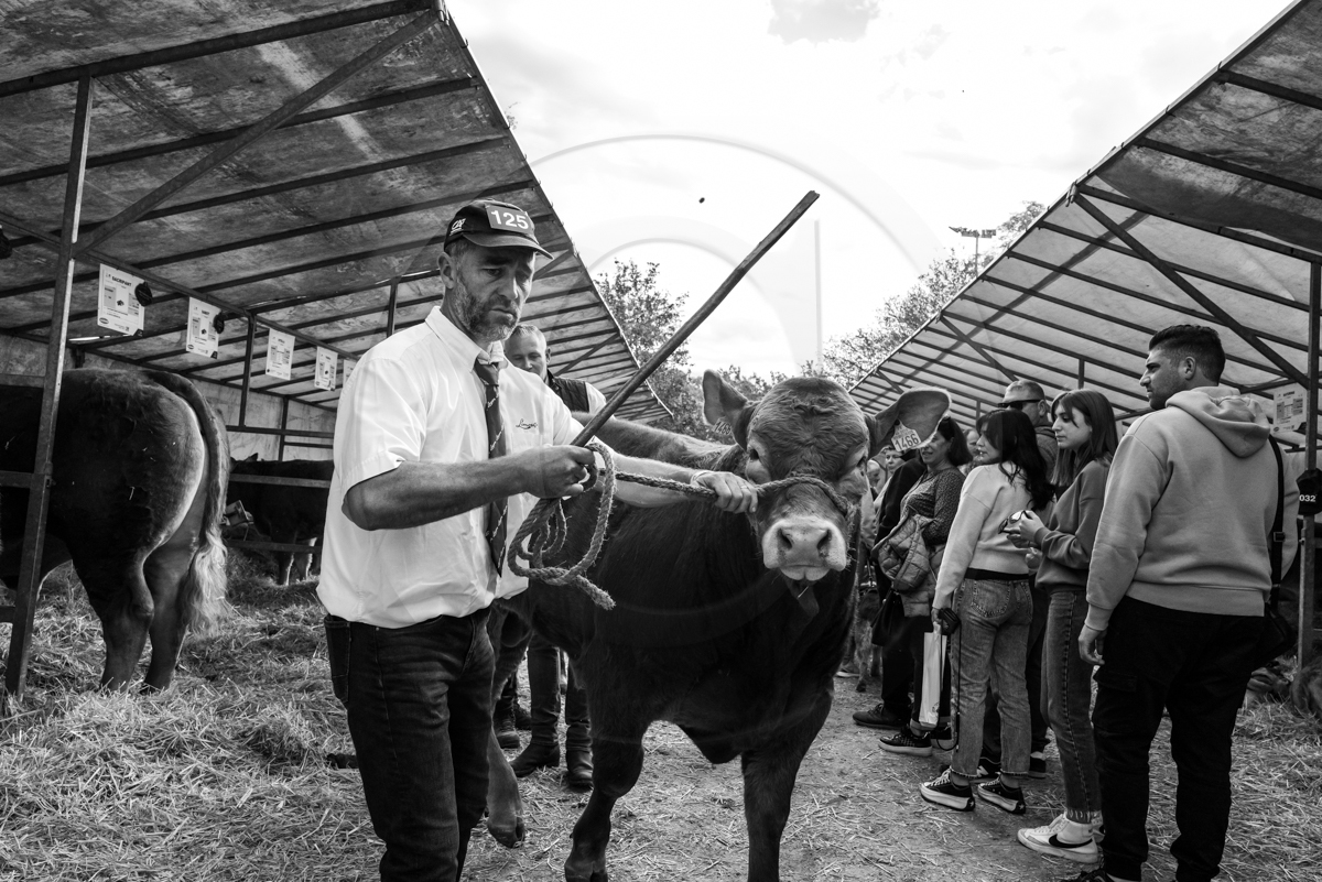 Rencontres paysannes à Saint-Bonnet en Champsaur