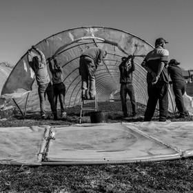 Montage de serres tunnel
