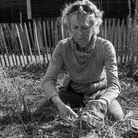 24 février 2021 : on taille, on prépare le jardin...