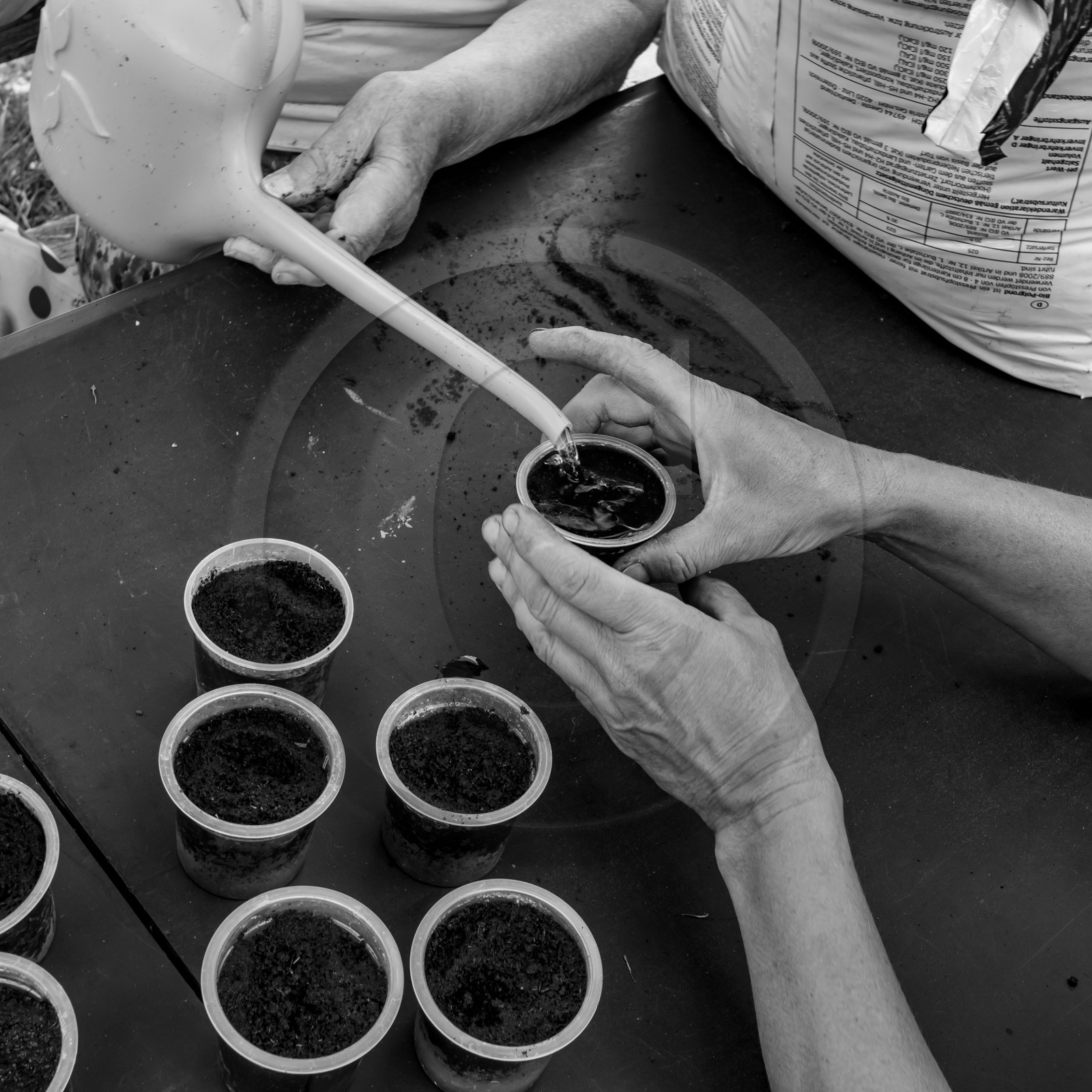 23 juin 2021 : Une après-midi à l'Ouort