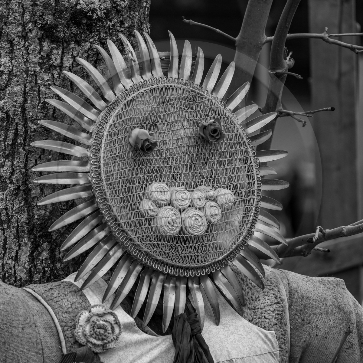 20 avril 2022 : des contes, des pommes de terre et un petit café 20 avril 2022 : des contes, des pommes de terre et un petit café