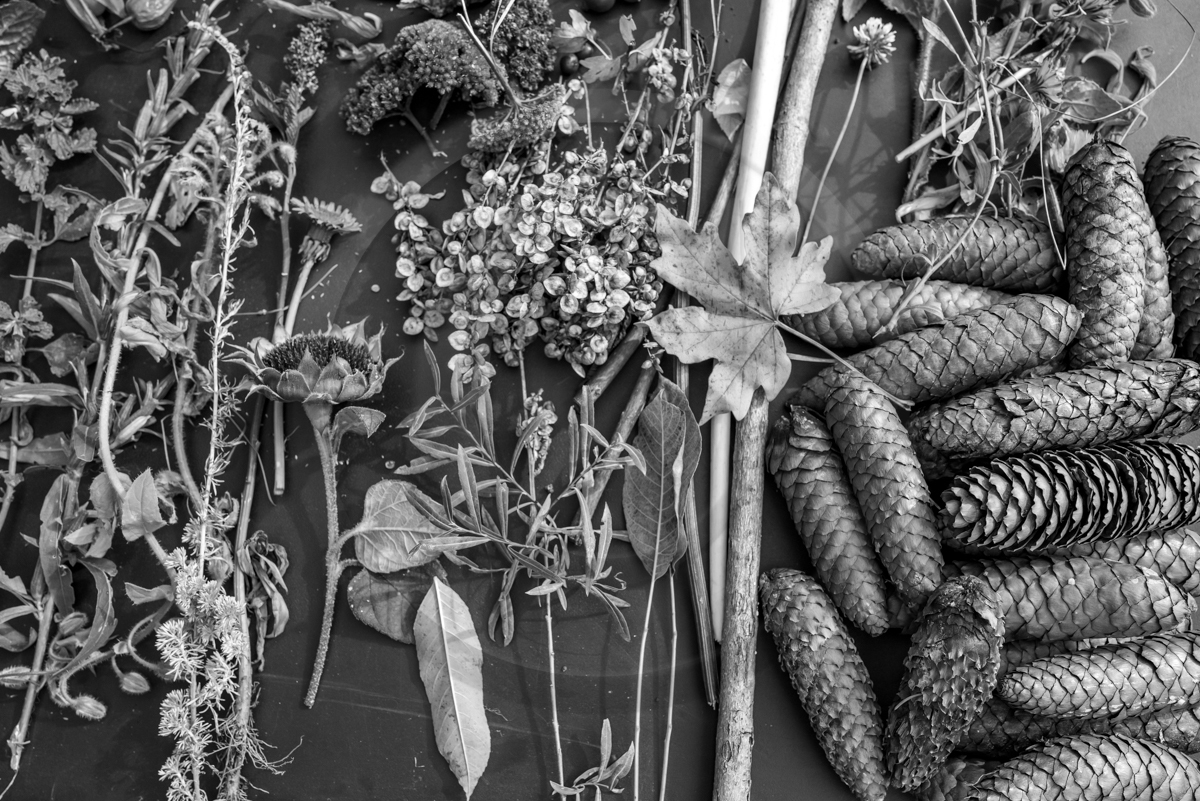 12 octobre 2022 : Land Art à l'Ouort