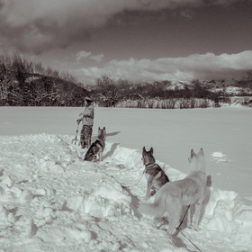 La Valgaude Traineau 2015