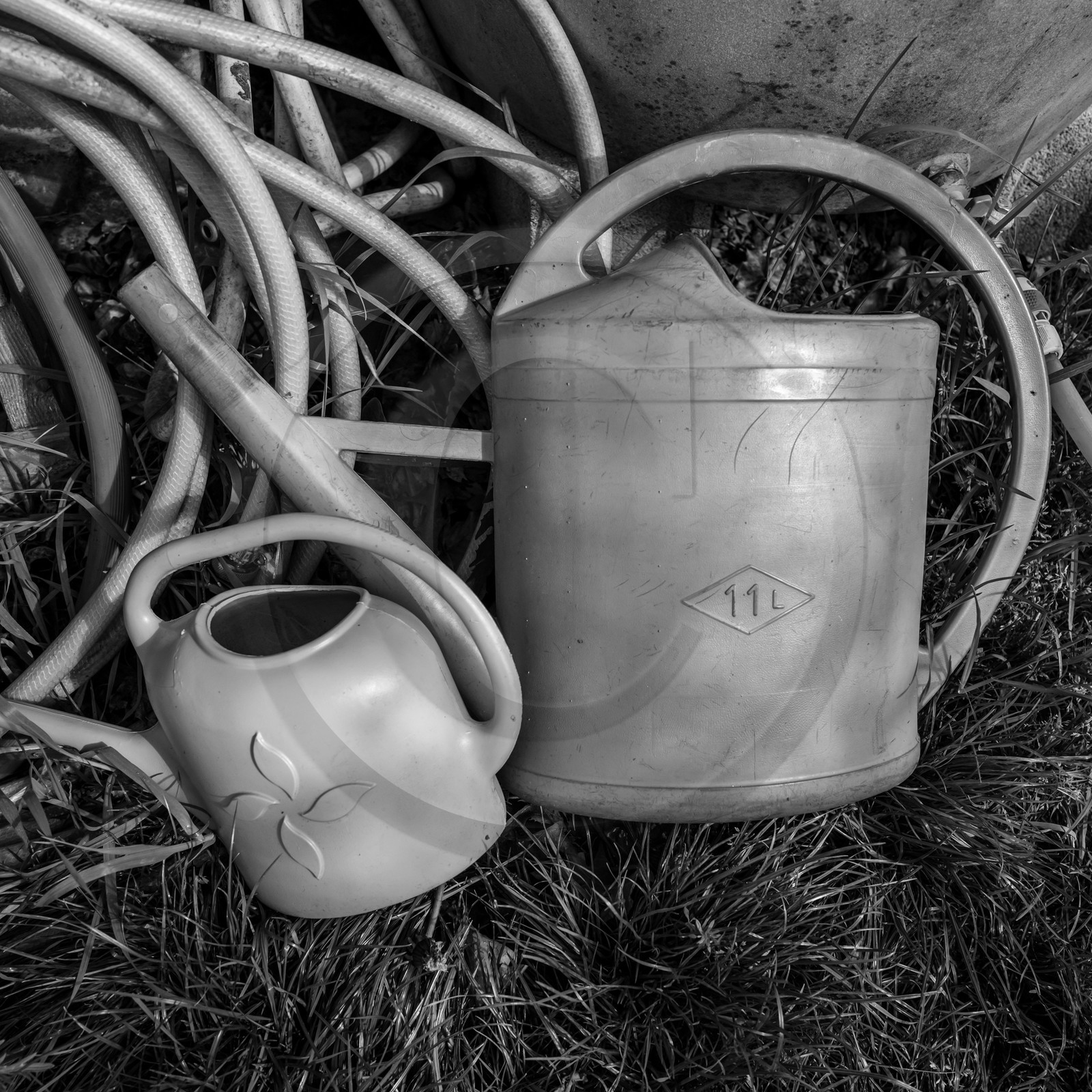 03 mai 2024 : Journée des aidants