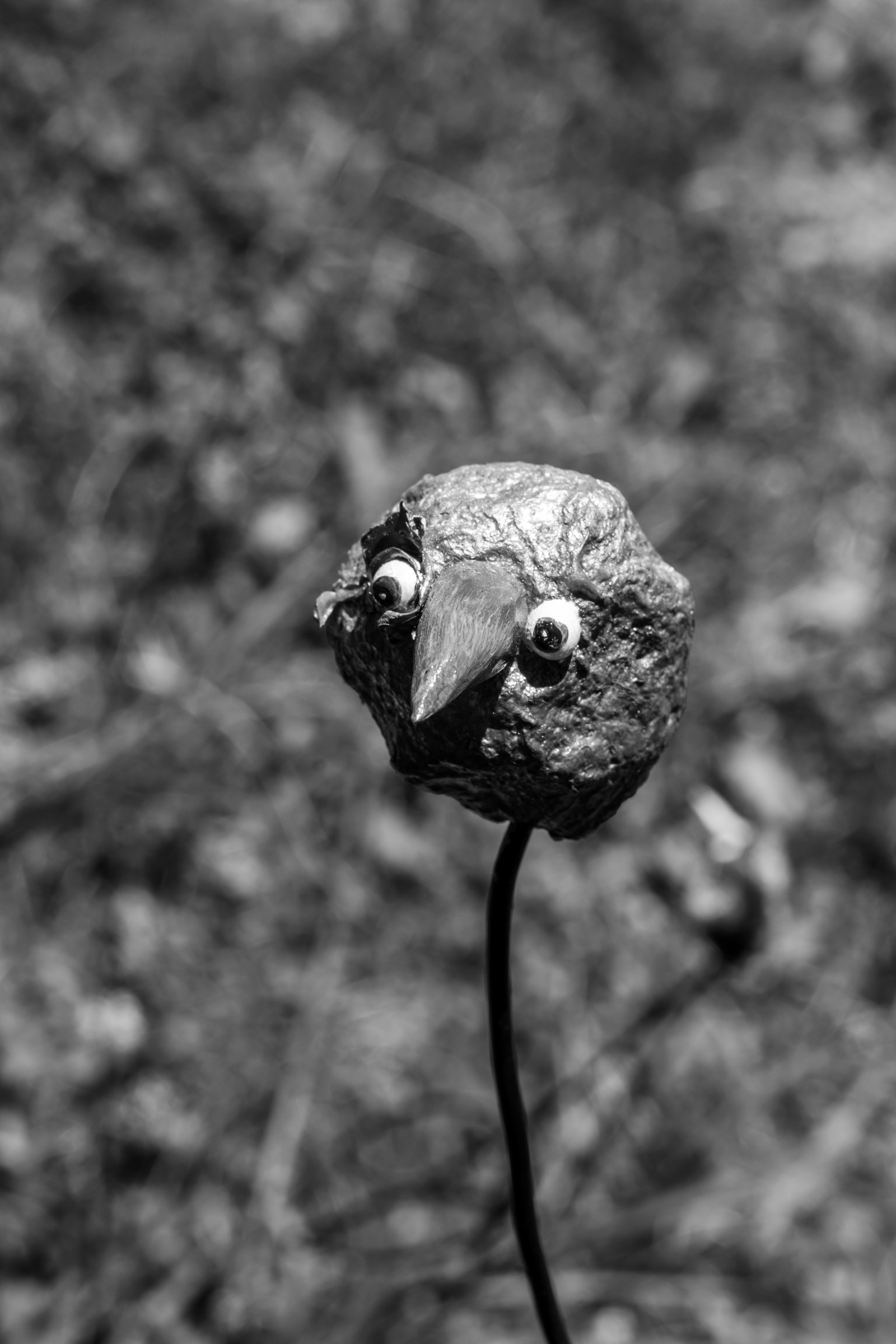 16 juillet 2025 : Les Triplettes