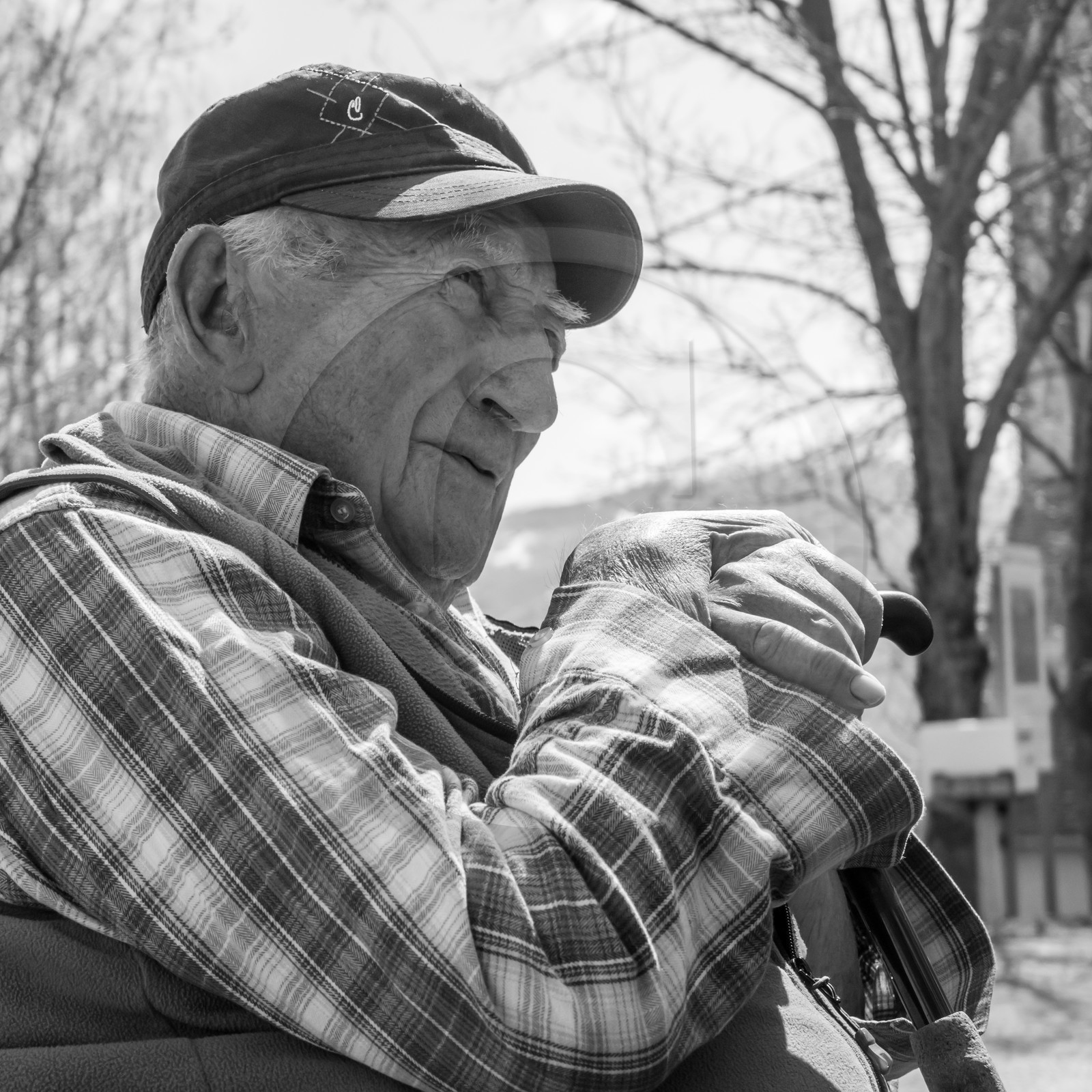 Fabrication de Nichoirs