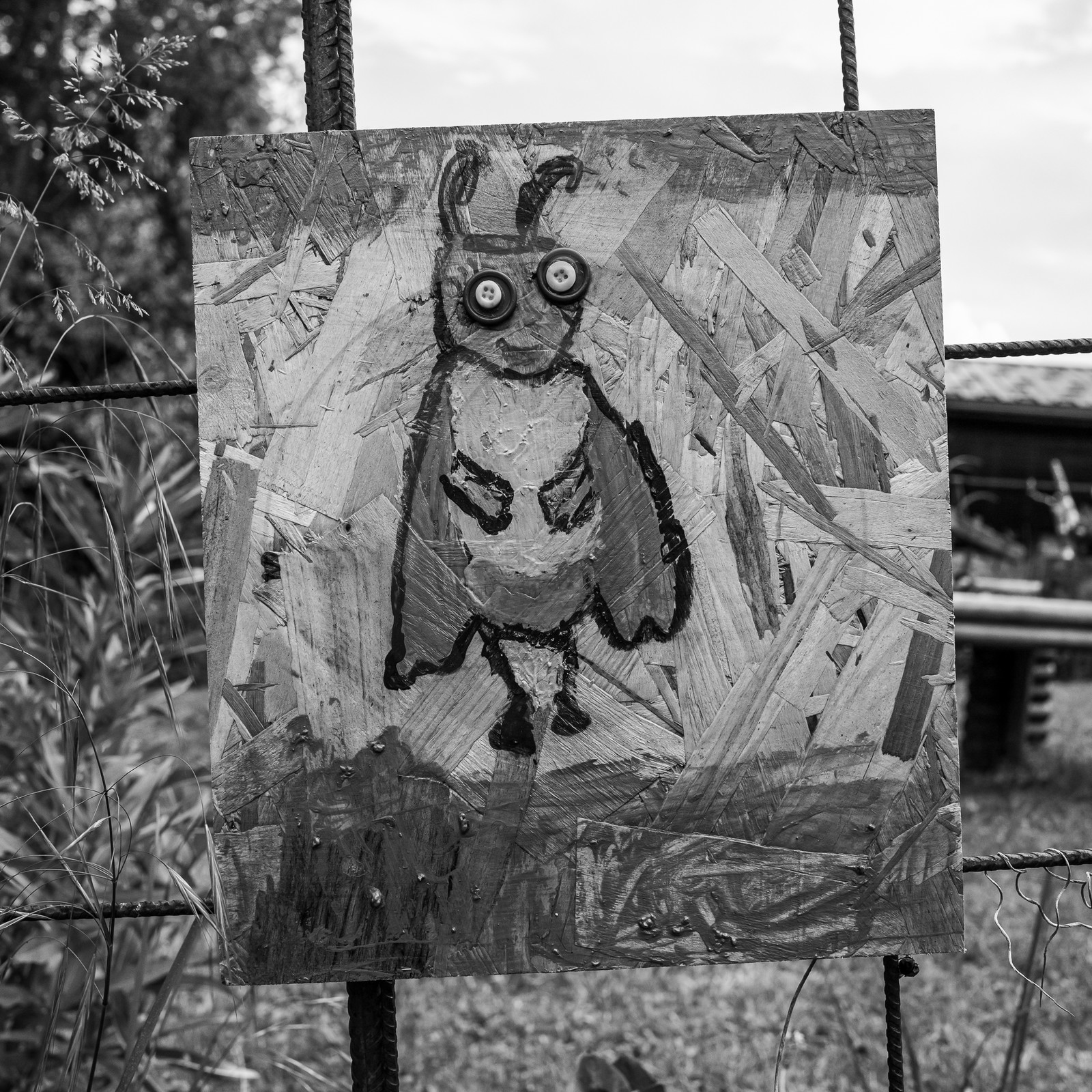 07 juin 2006 : un mercredi à l'Ouort