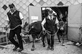 Rencontres paysannes à Saint-Bonnet en Champsaur