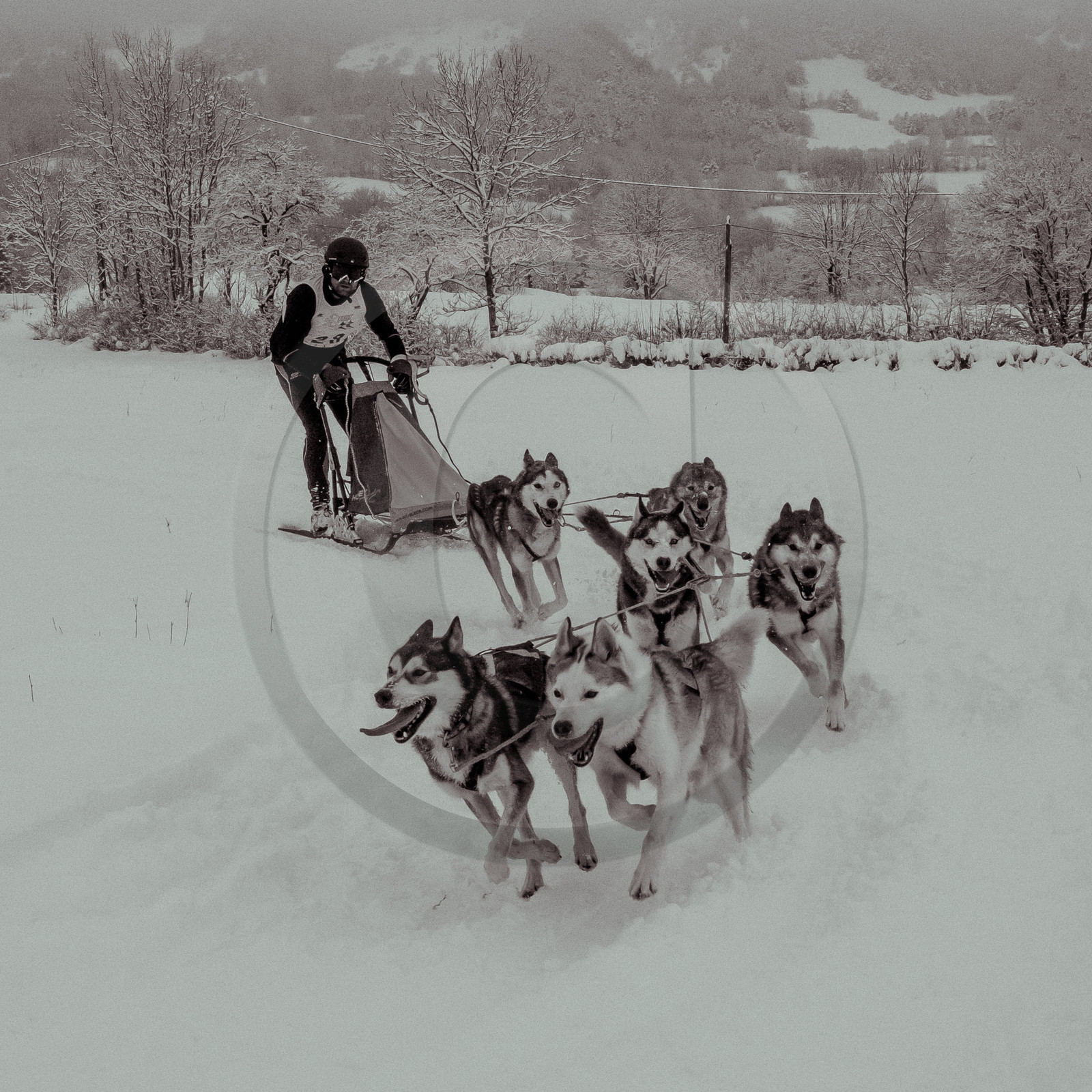 La Valgaude Traineau 2015 La Valgaude Traineau 2015