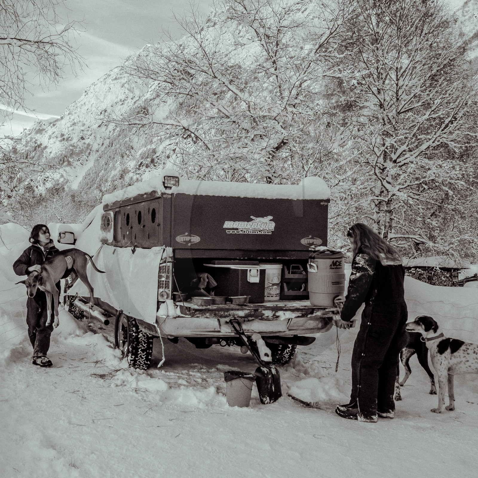 La Valgaude Traineau 2015