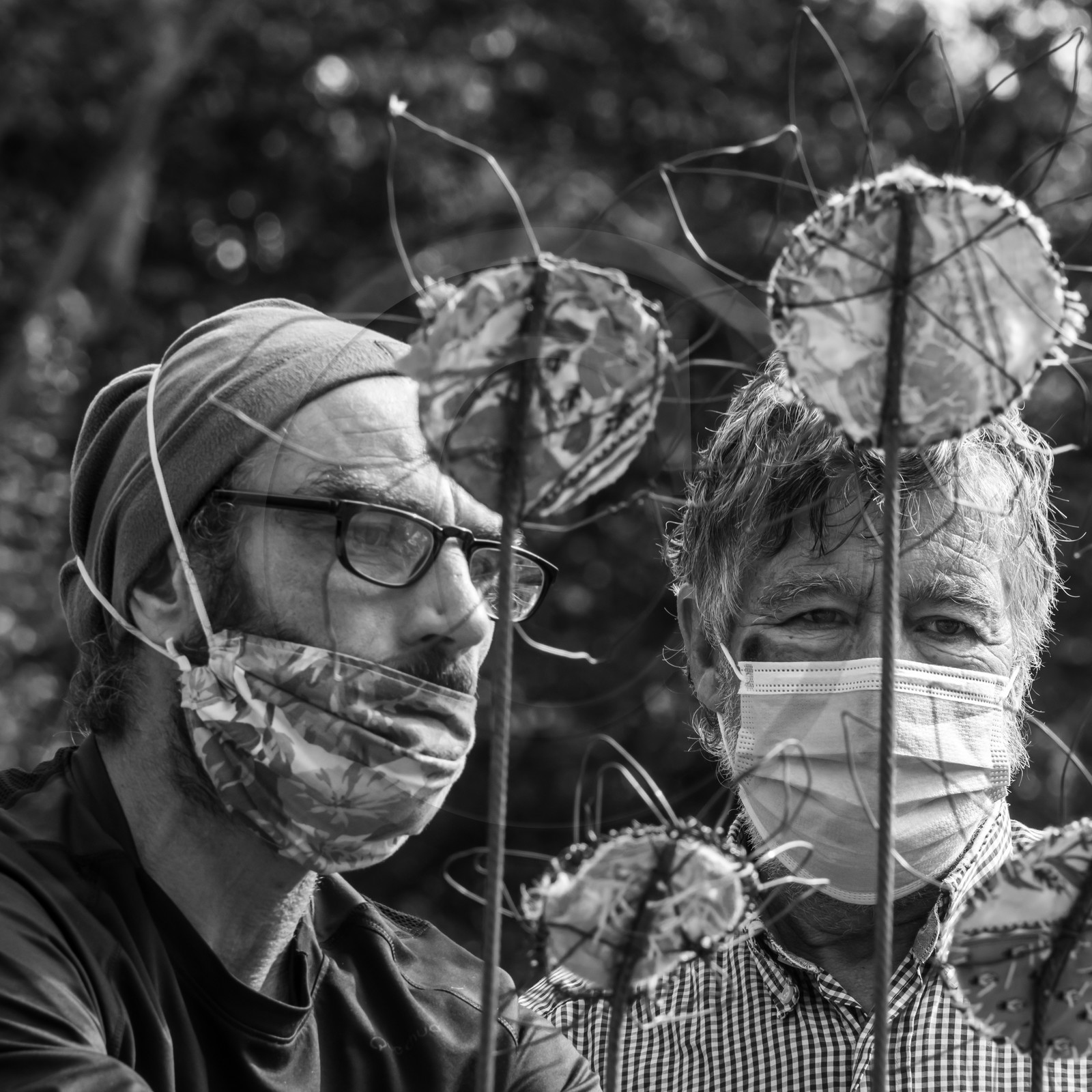 Fabrication de tournesols Fabrication de tournesols