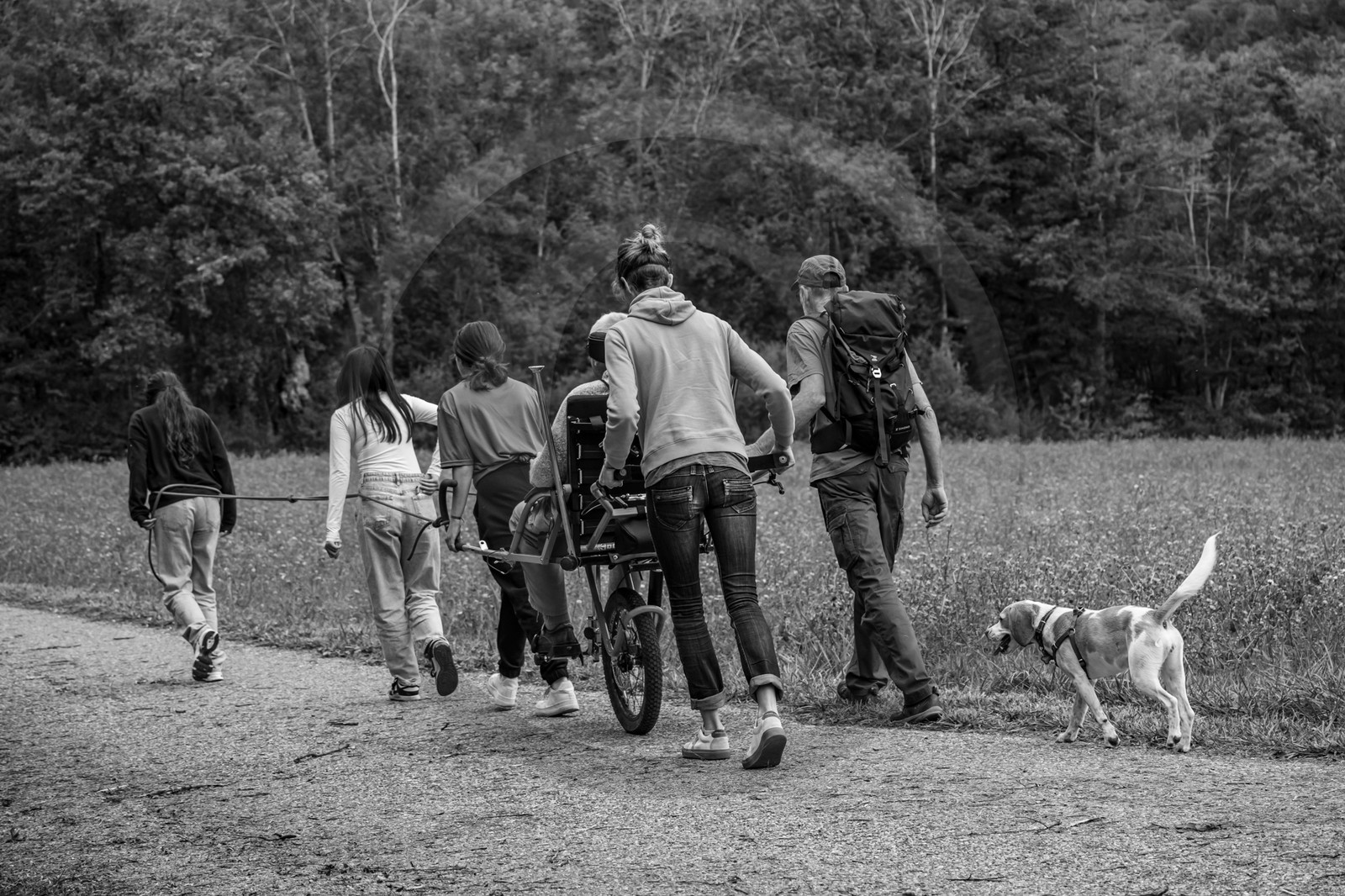 25 septembre 2024 : Promenade en joelette avec Bruno, accompagnateur en montagne et des élèves du lycée Sévigné de Gap