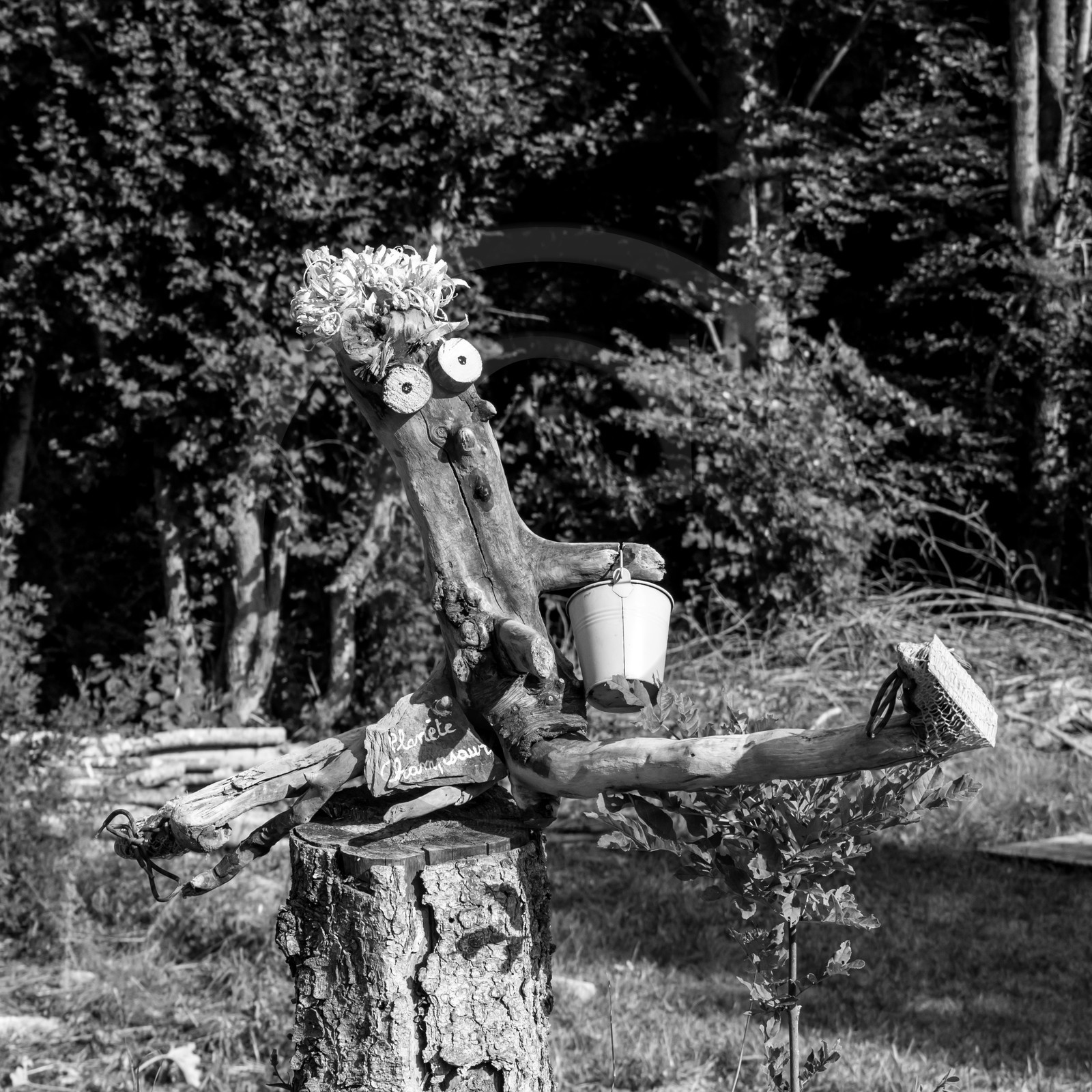 23 août 2017 - Animations 23 août 2017 - Animations