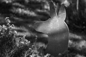 16 mai 2025 : Journée des aidants