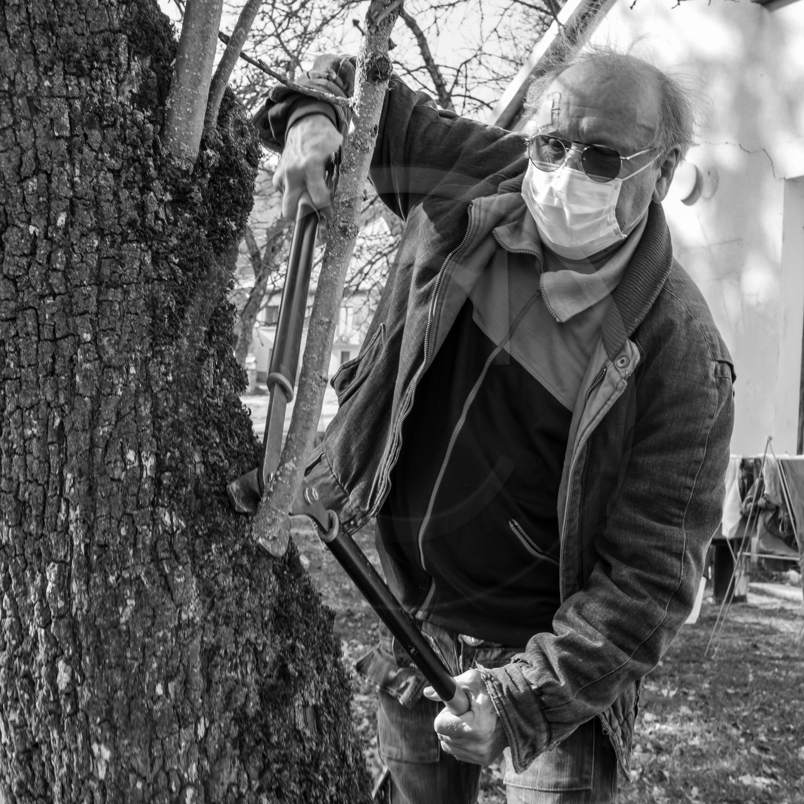 24 février 2021 : on taille, on prépare le jardin...