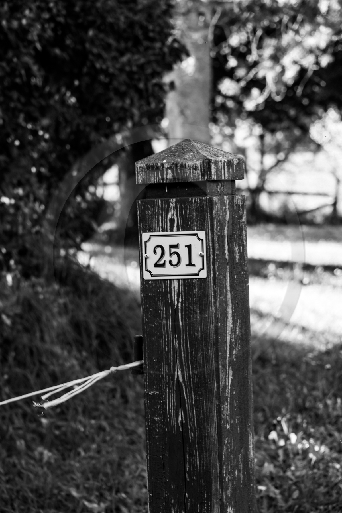 Des chiffres et des lettres