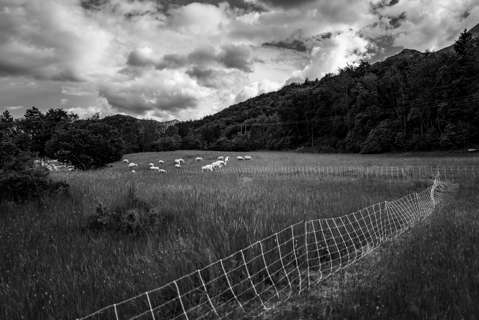 Le Pas du Loup - Le Glaizil -14 mai 2023