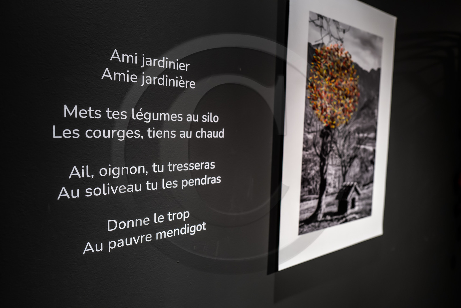 Exposition L comme laine, lien, lieu conçue par l'Ouort de Benevènt, sous la houlette de Claudine Meyer, artiste plasticienne, accompagnée de photographies de Denis Lebioda. Une proposition de la Communauté de Communes du Champsaur - Valgaudemar et de son service culturel.