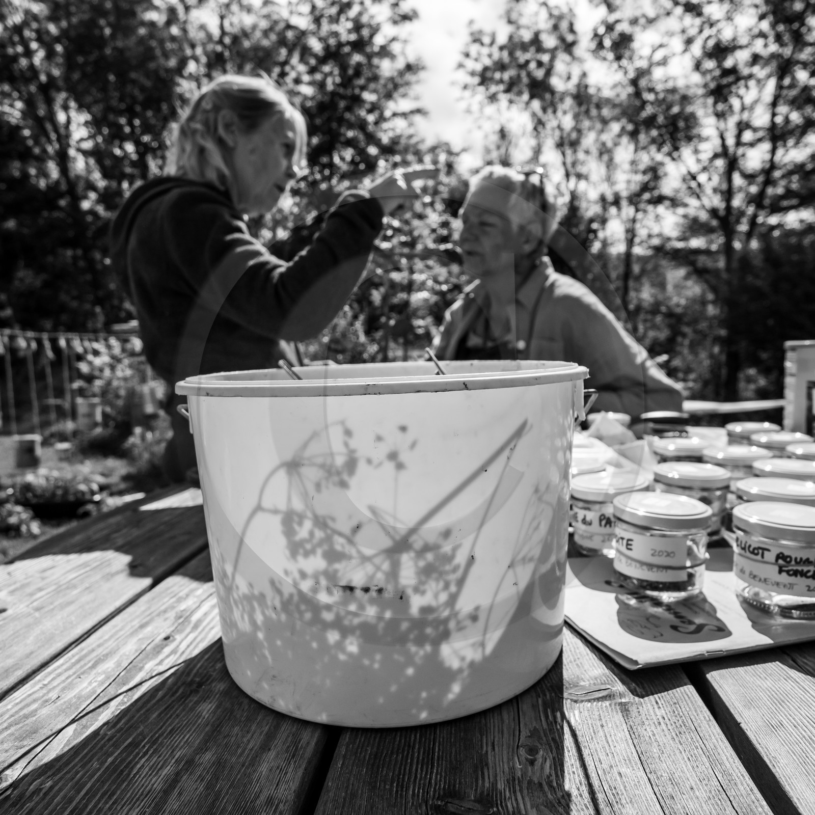 06 juin 2021 : Vide-Jardin et peinture végétale