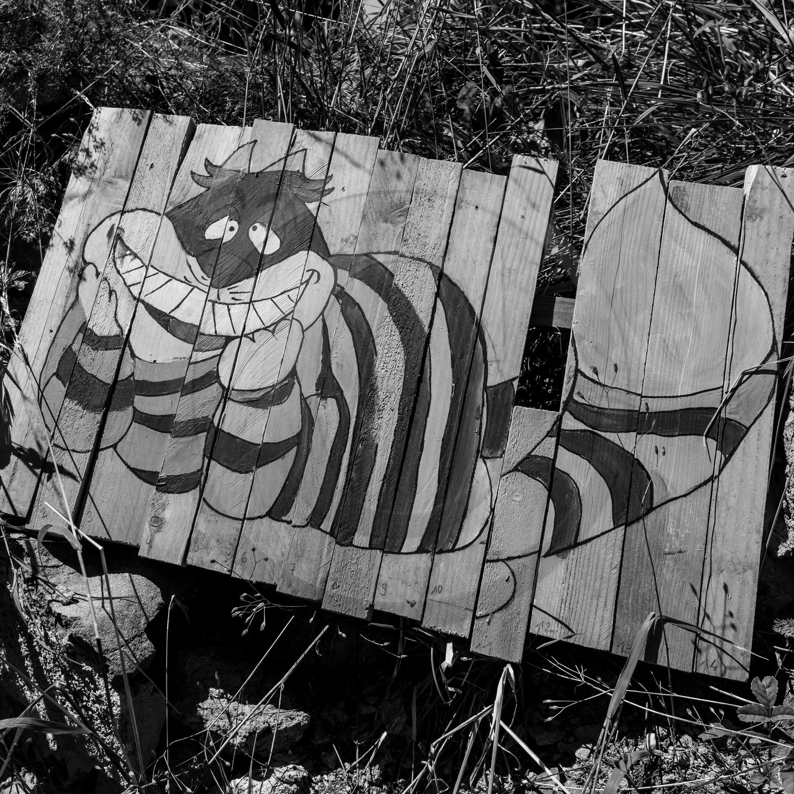 Atelier Fuseaux de lavande