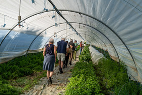 Légumontagne : maraichage biologique à Ancelle