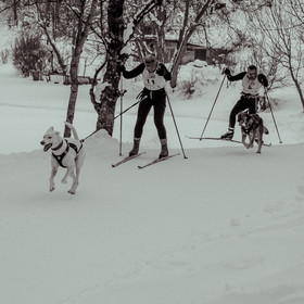 La Valgaude Traineau 2015