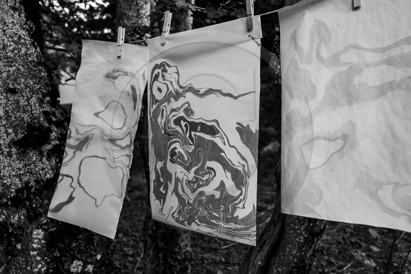 05 juillet 2023 : une cantine et des artistes 05 juillet 2023 : une cantine et des artistes