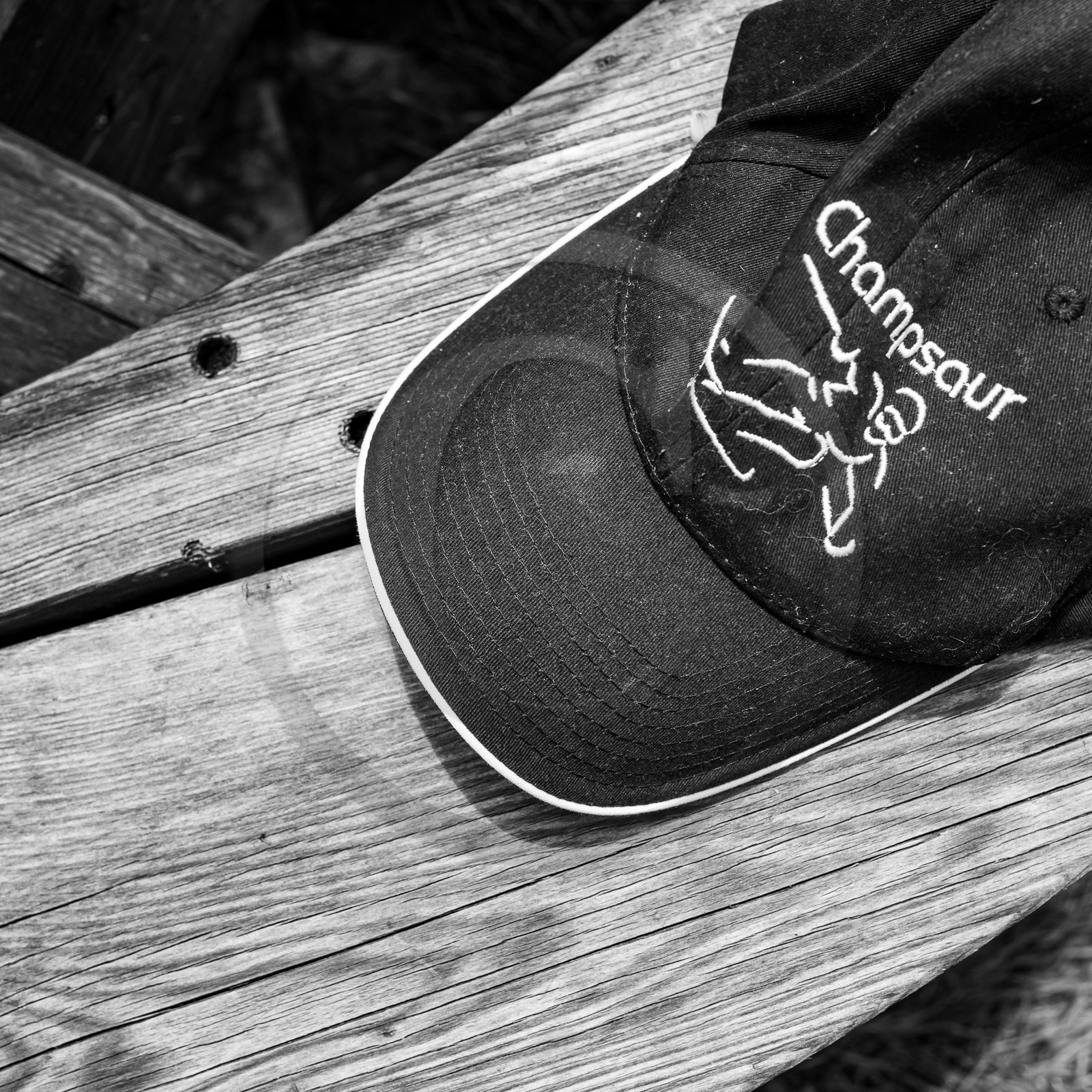 05 juin 2023 : journée des aidants et des aidés 05 juin 2023 : journée des aidants et des aidés