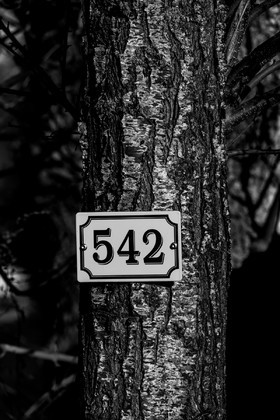 Des chiffres et des lettres