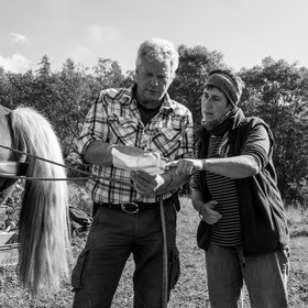 La récolte des pommes de terre avec un cheval