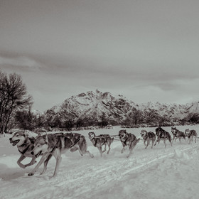 La Valgaude Traineau 2015