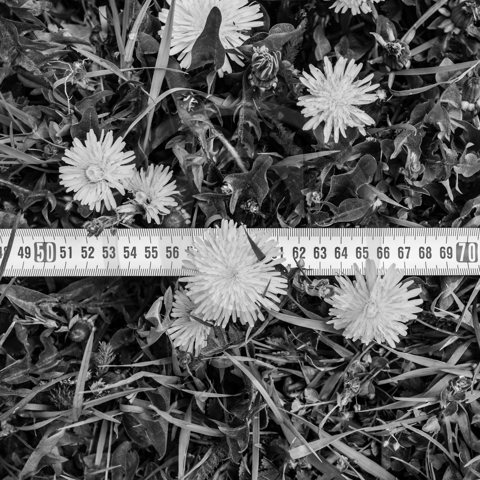 21 avril : jardinage, collages, peinture