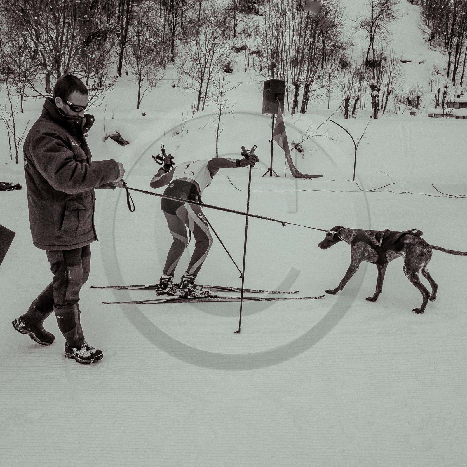 La Valgaude Traineau 2015