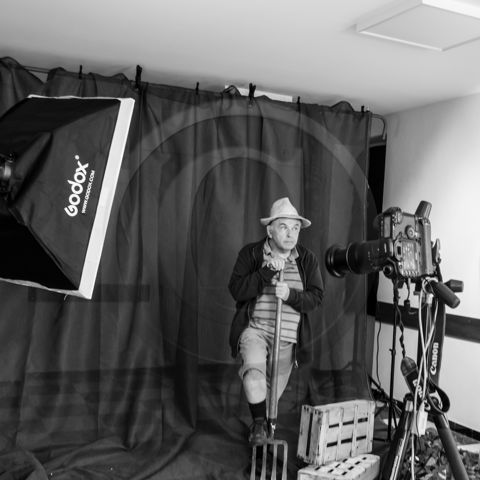 05 juin 2019 : Studio photo et promenade au jardin 05 juin 2019 : Studio photo et promenade au jardin