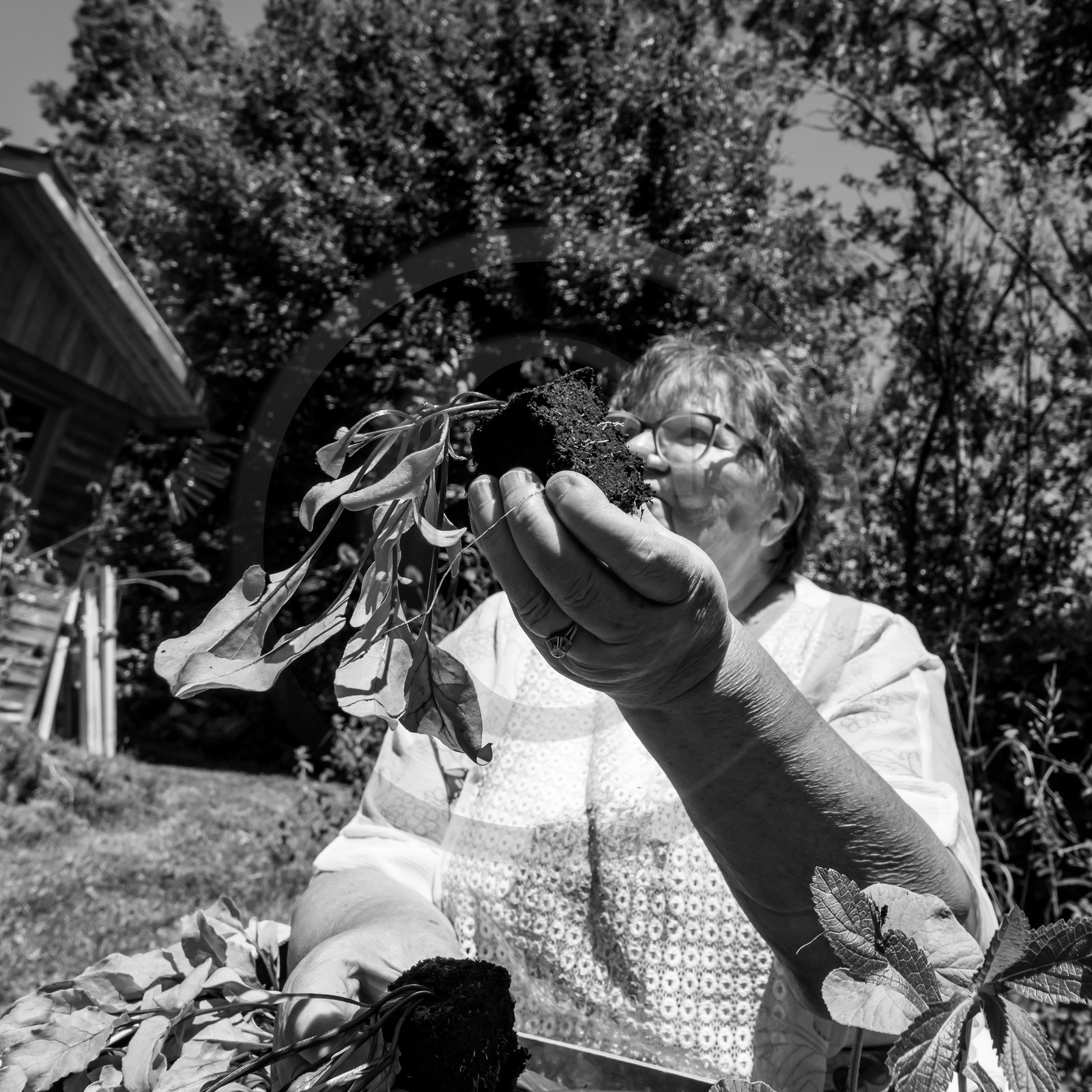 30 juin 2021 : Jardinage, jeux de cartes, masques