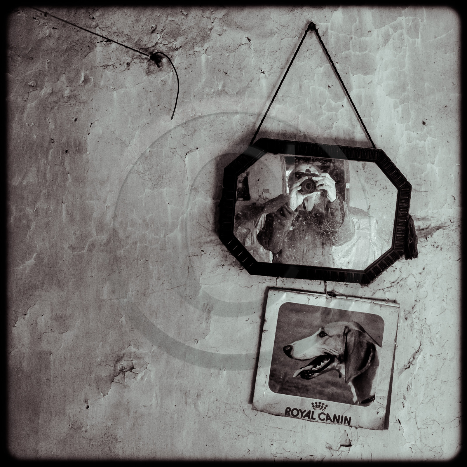 Une maison au Noyer en Champsaur