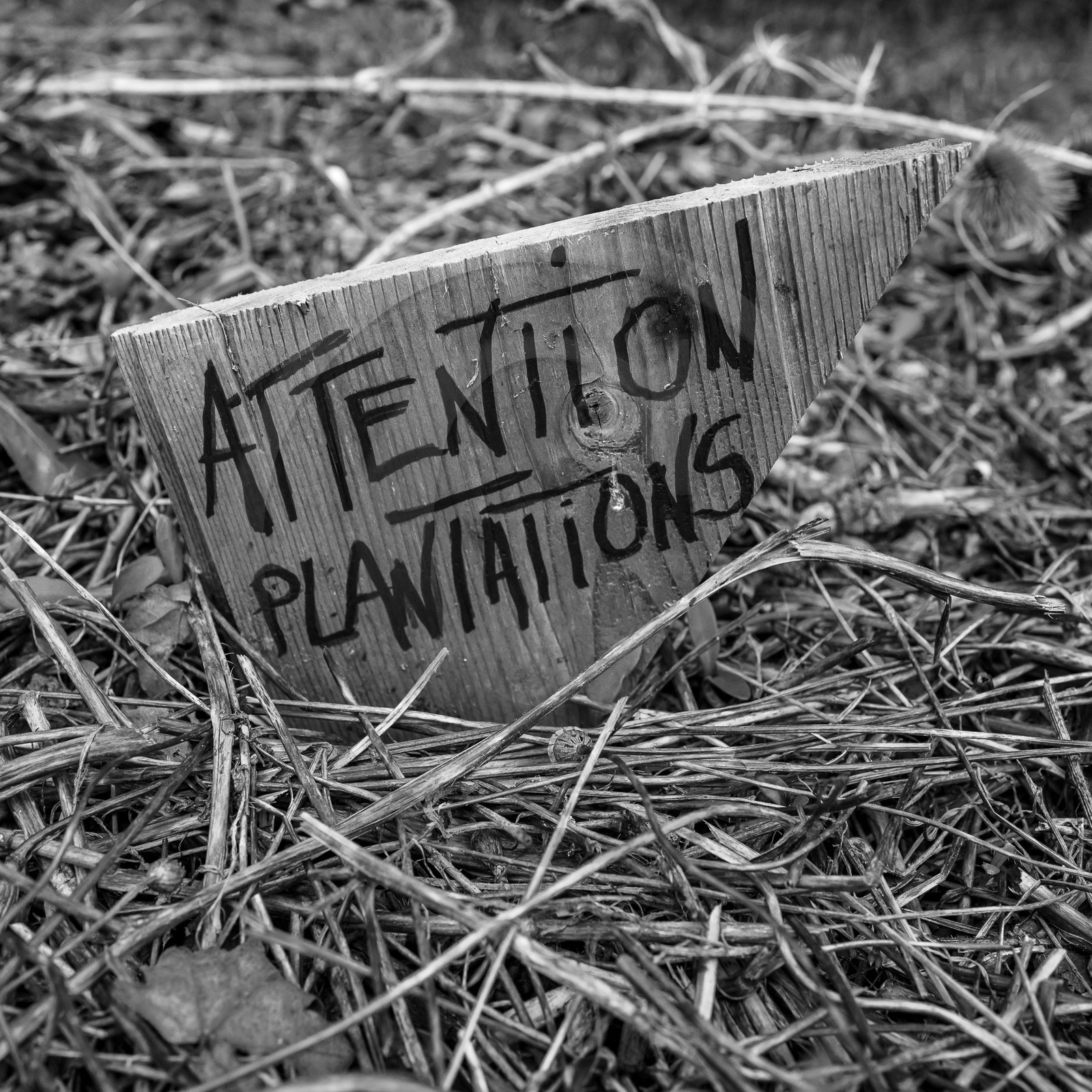 18 septembre 2023 : Journée des aidants et des aidés 18 septembre 2023 : Journée des aidants et des aidés