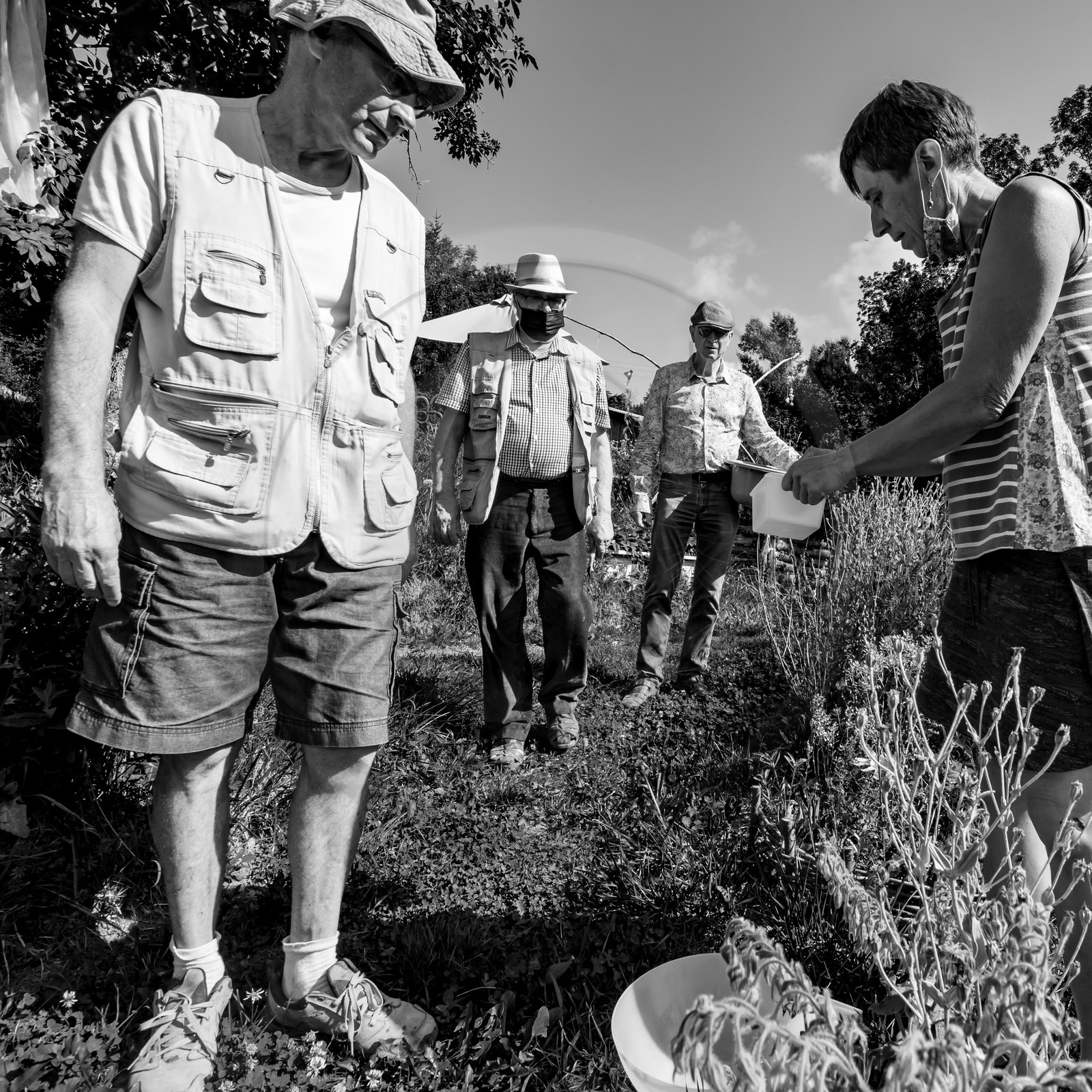 16 août 2021 : Journée des aidants