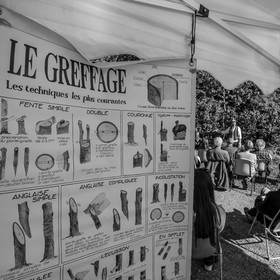 24 octobre 2021 : Fais ta soupe et ramène ta pomme