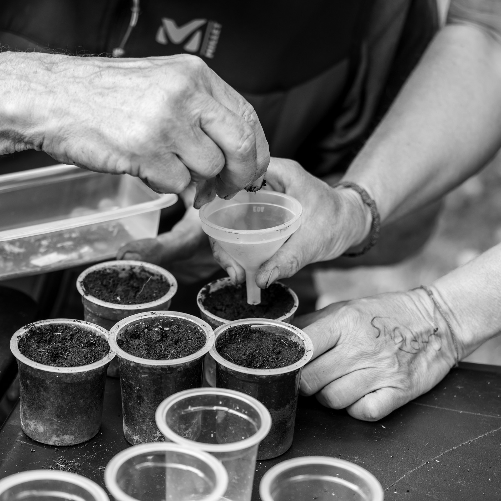 Le Noyer, village champsaurin