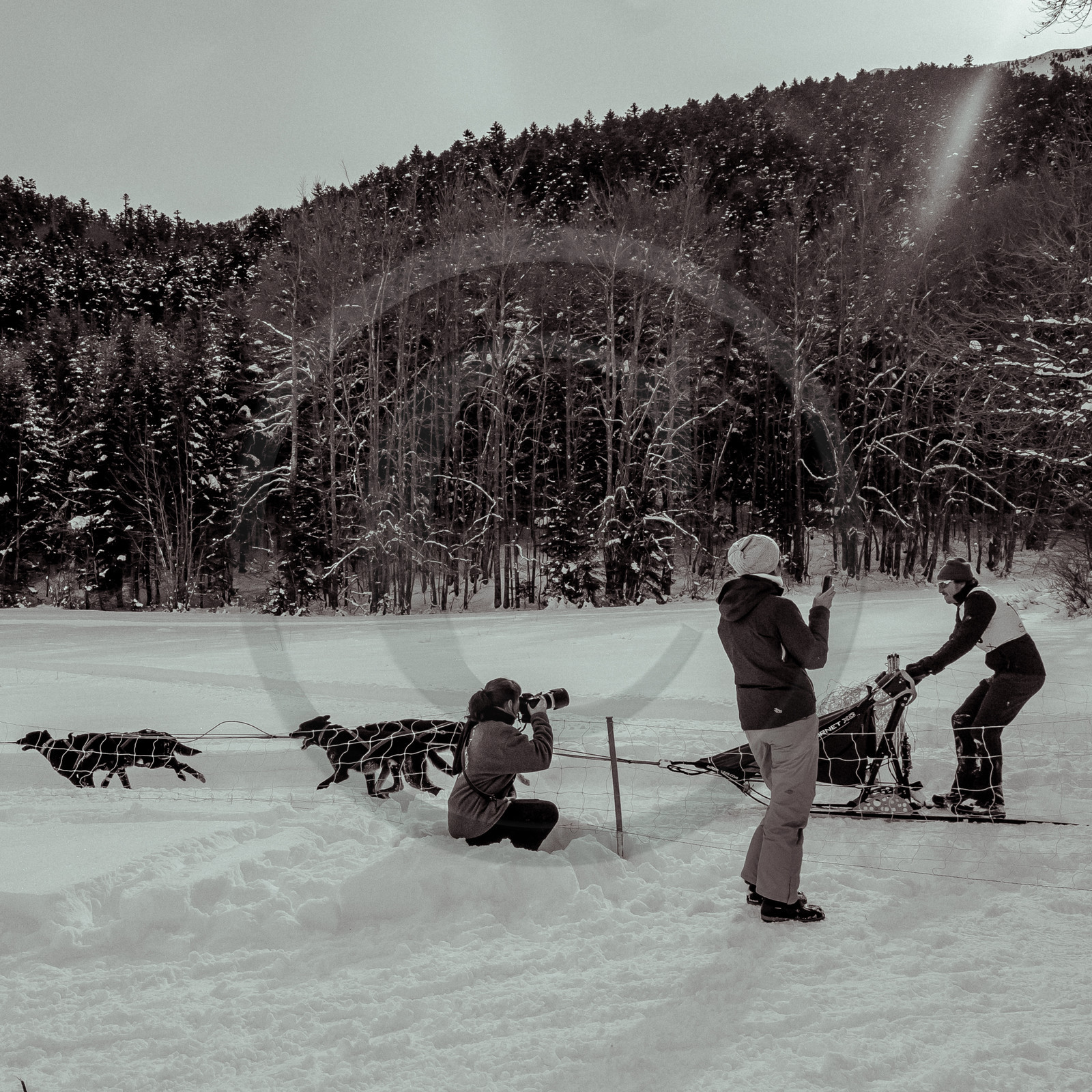 La Valgaude Traineau 2015
