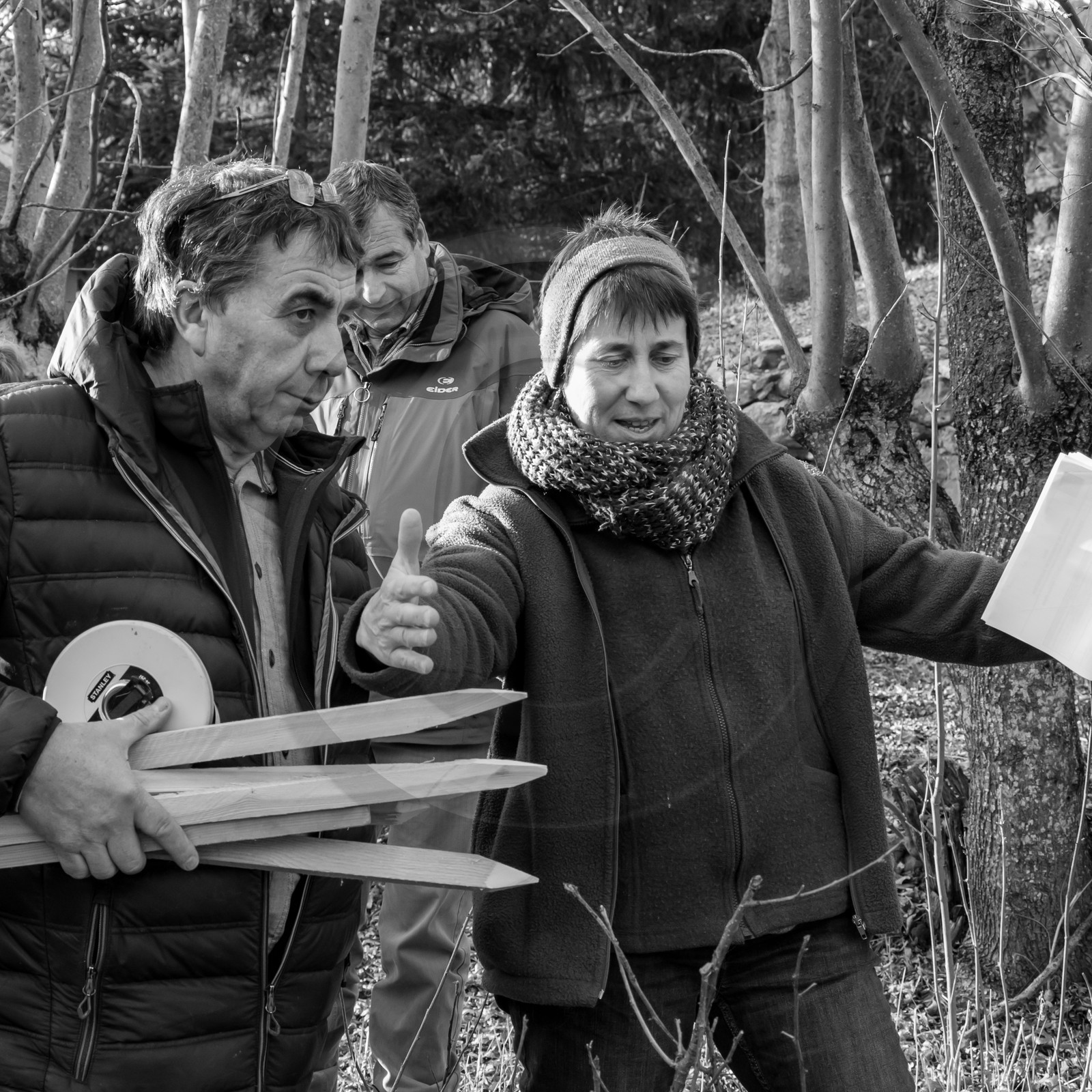 Découverte du jardin le 03 01 2017