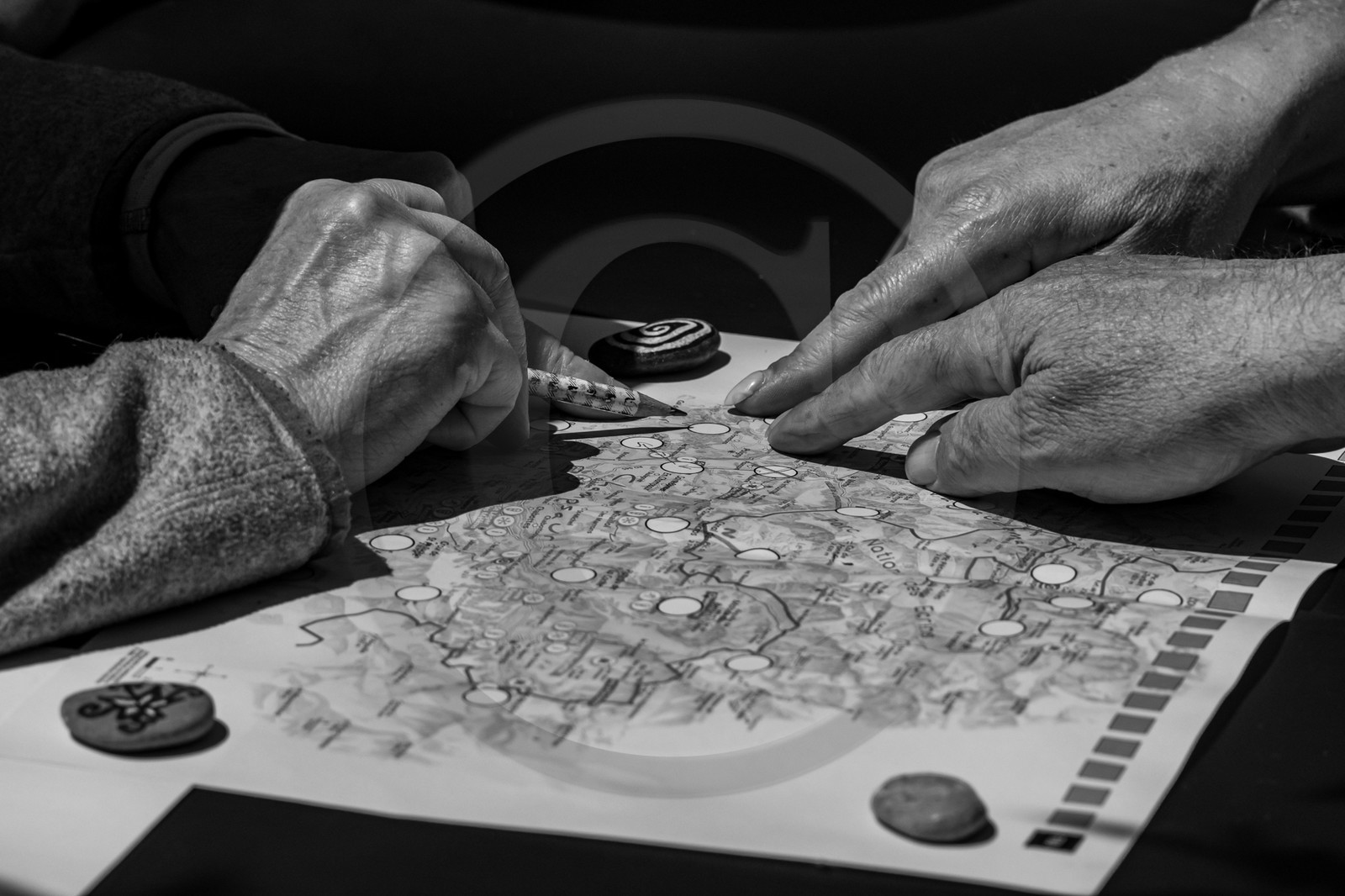 12 juin 2024 : création d'un jeu et jardinage 12 juin 2024 : création d'un jeu et jardinage